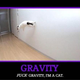 Illustration for article titled Study shows cats understand physics!